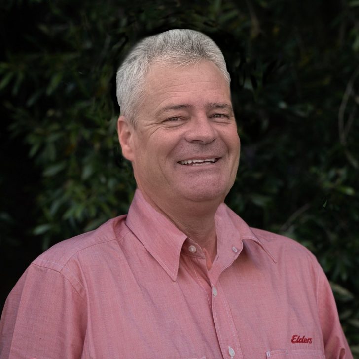 Elders Real Estate Ipswich Your Local Real Estate Experts