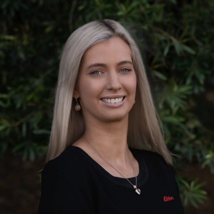 Elders Real Estate Ipswich Your Local Real Estate Experts