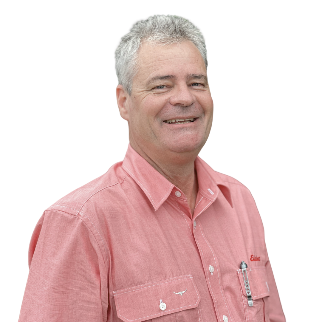 Elders Real Estate Ipswich Your Local Real Estate Experts