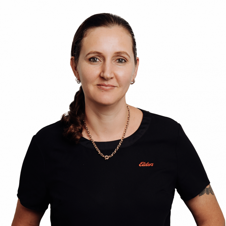 Elders Real Estate Ipswich Your Local Real Estate Experts