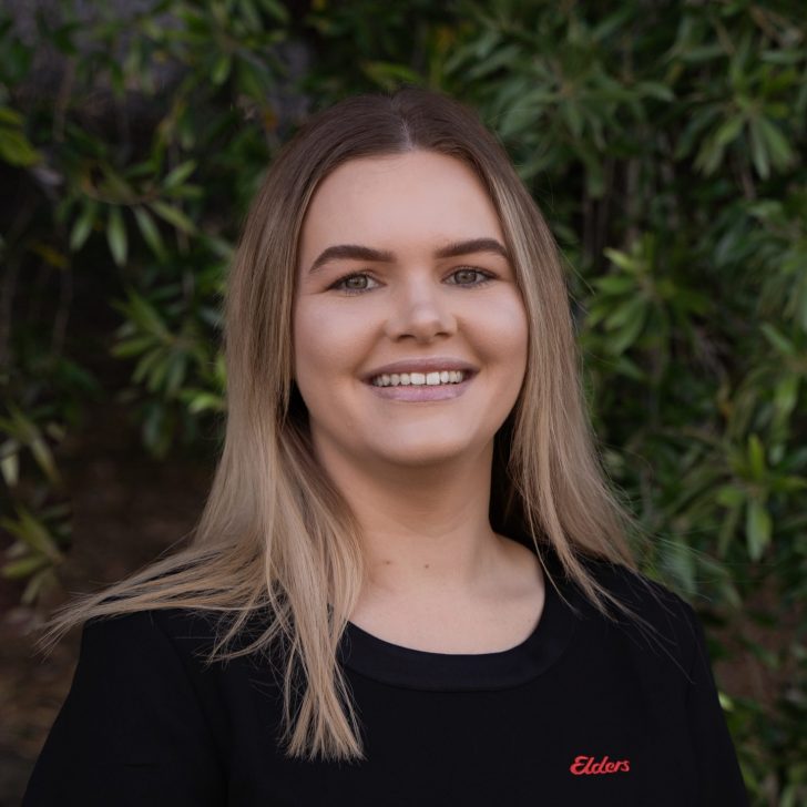Team Members Elders Real Estate Ipswich