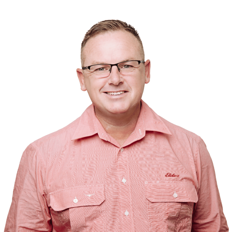 Elders Real Estate Ipswich Your Local Real Estate Experts